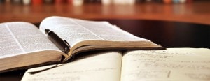 Kurs kwalifikacyjny z zakresu dogoterapii